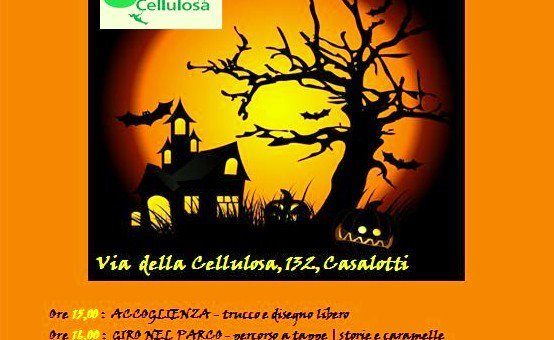 Preparazione Festa di Halloween 31 OTTOBRE- Laboratorio con i Bambini AL PARCO