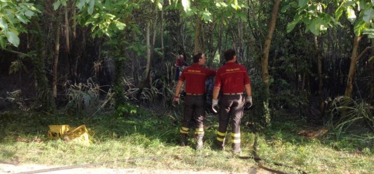 PARCO DELLA CELLULOSA: INCENDIO MINACCIA LA ZONA “NOCETO”